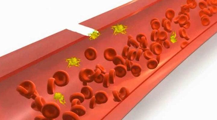 DR. JOSÉ HUMBERTO SALGADO VALENZUELA