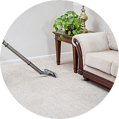 carpet cleaning services