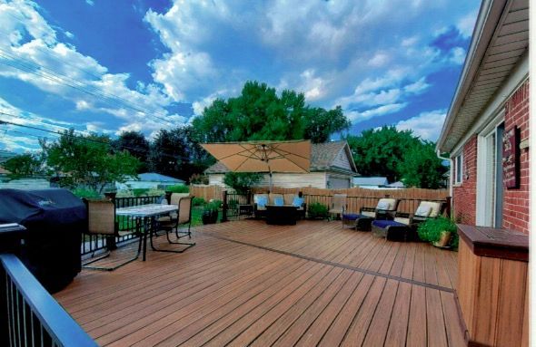 Completed Tree Removal Project Of Big Tree