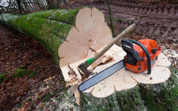 A chainsaw is sitting on top of a tree stump.