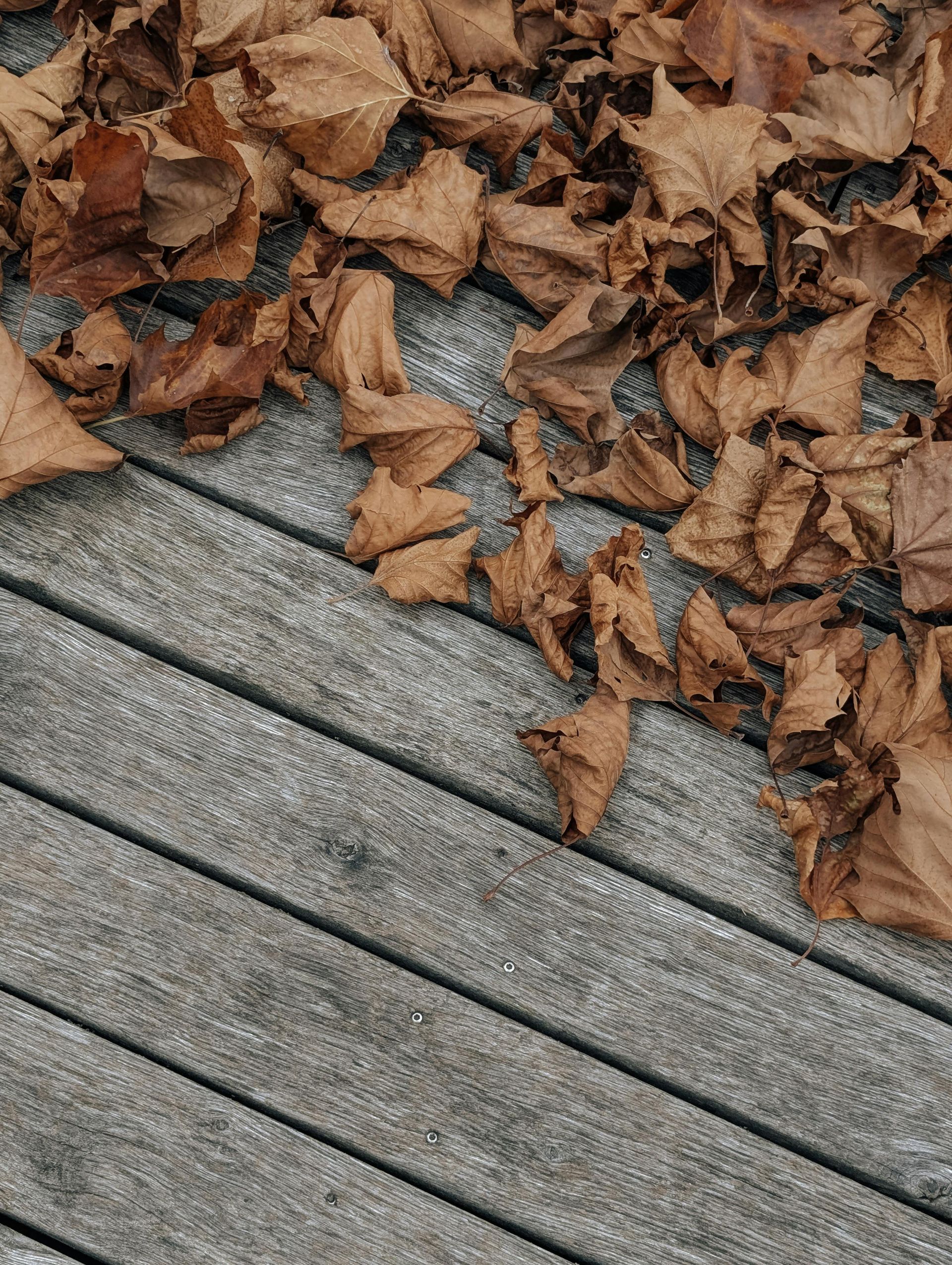 A pile of brown leaves on a wooden deck.