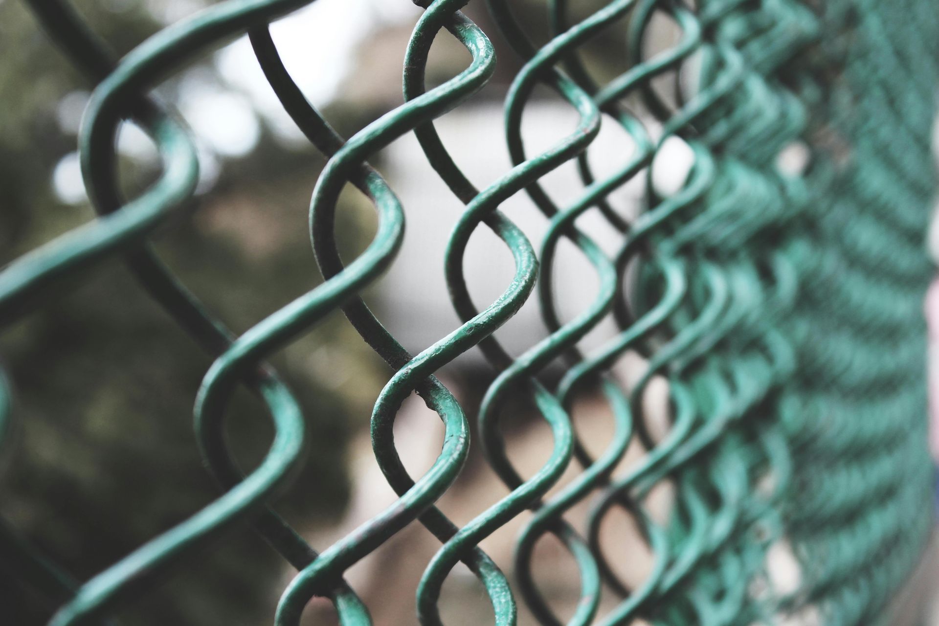 A close up of a green chain link fence