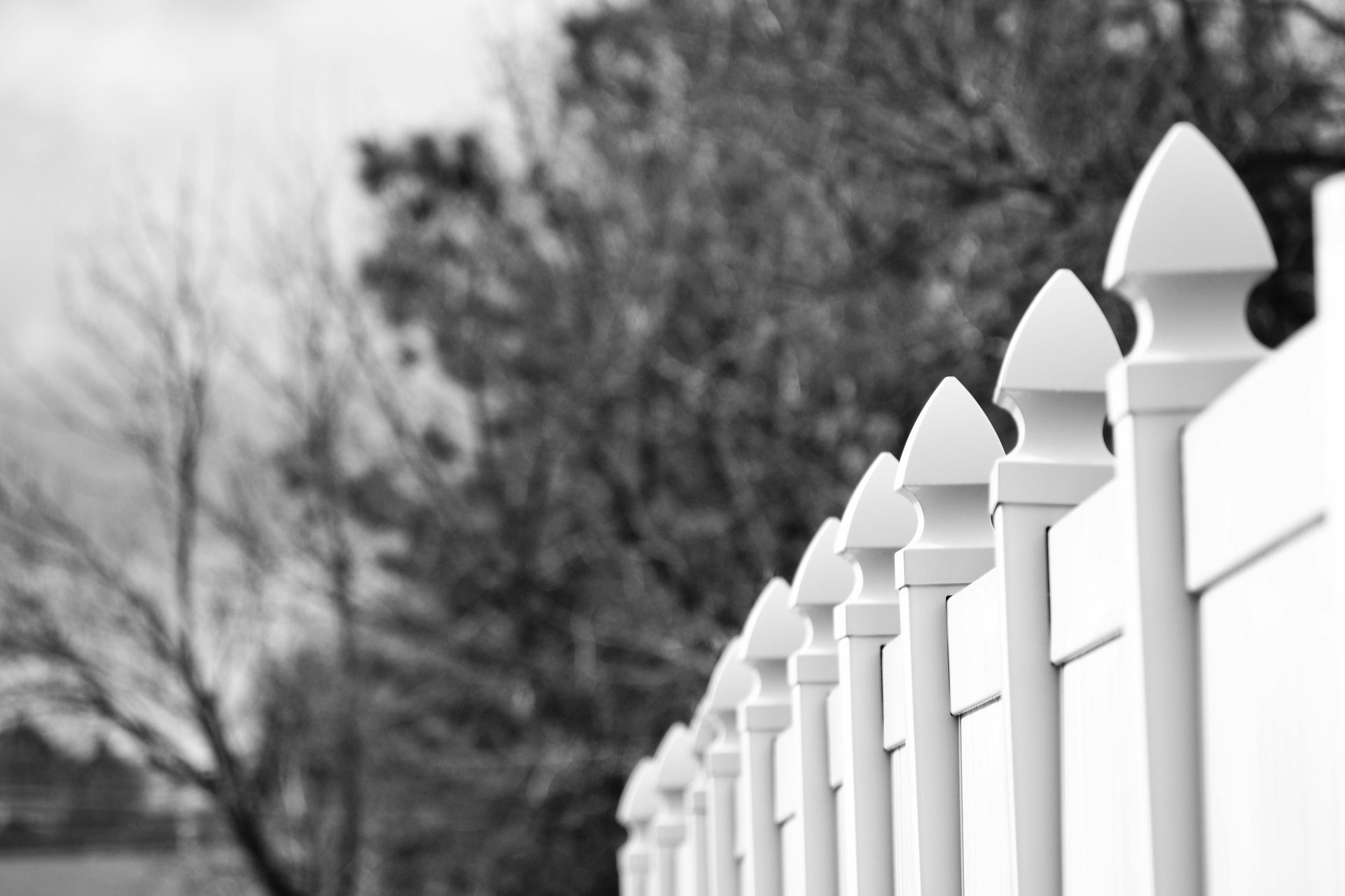 A black and white photo of a white picket fence with trees in the background.