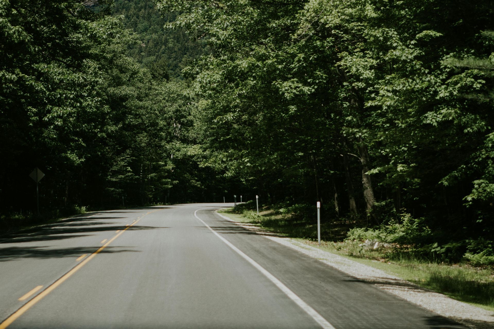 A road with trees on both sides of it