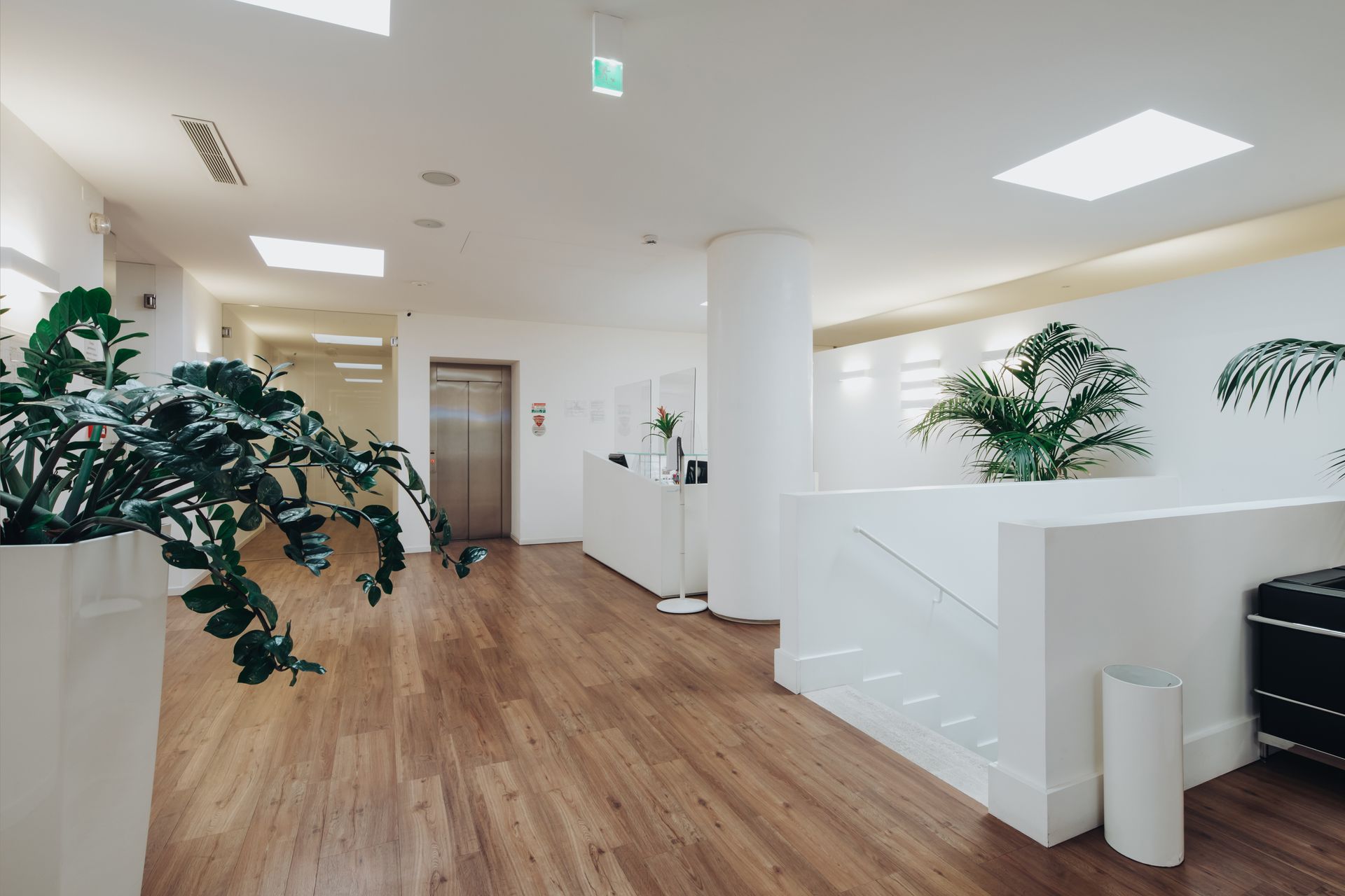 dente e specchietto dentale