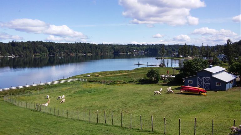 A fenced in field with a barn and a lake in the background