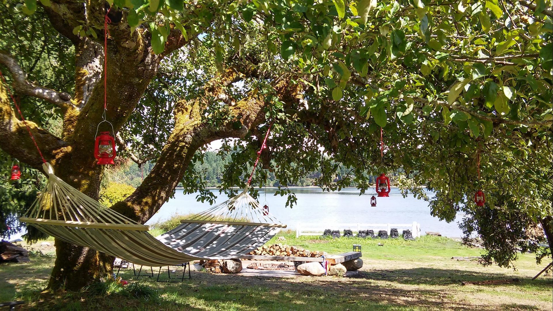 A hammock is sitting under a tree next to a lake.