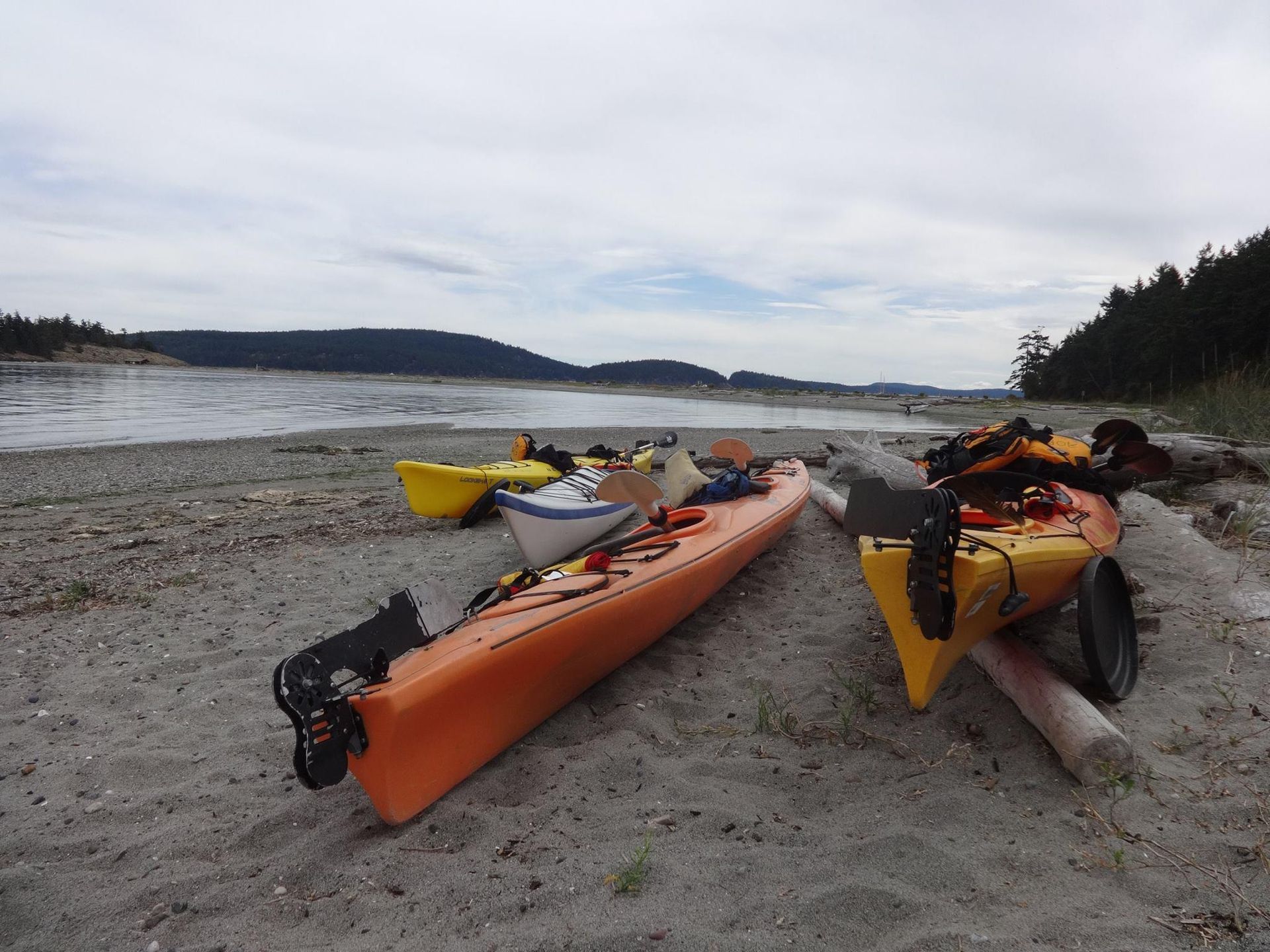 Three kayaks are sitting on a sandy beach near the water