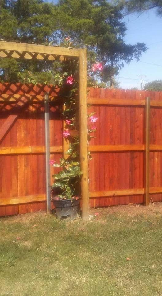 A wooden fence with flowers growing on it and a pergola.