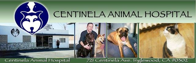 Centinela Animal Hospital - Inglewood, CA- Centinela Animal Hospital,  Customized Healthcare for your Pet - Inglewood, CA - Information