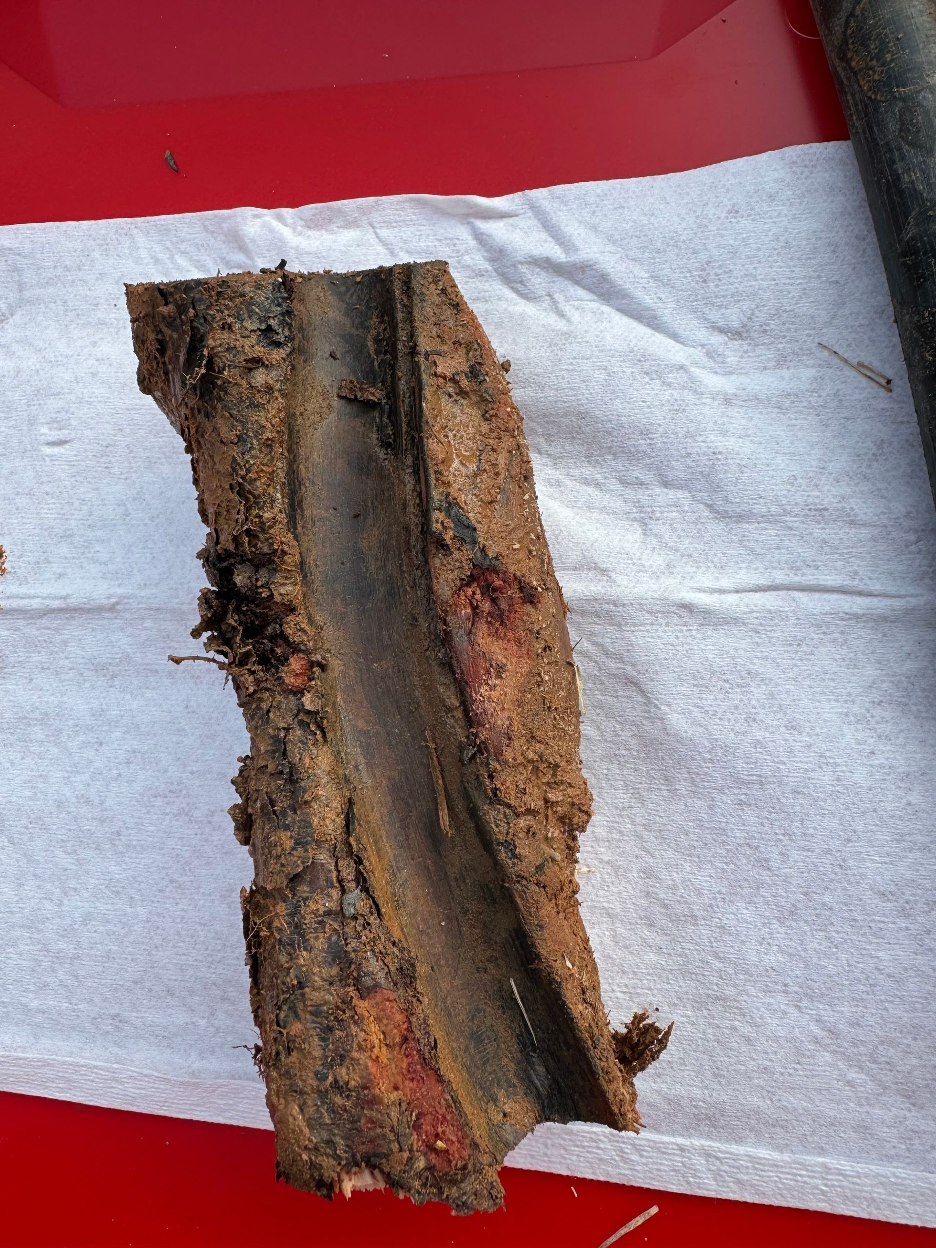 Atlanta Water Line Repair