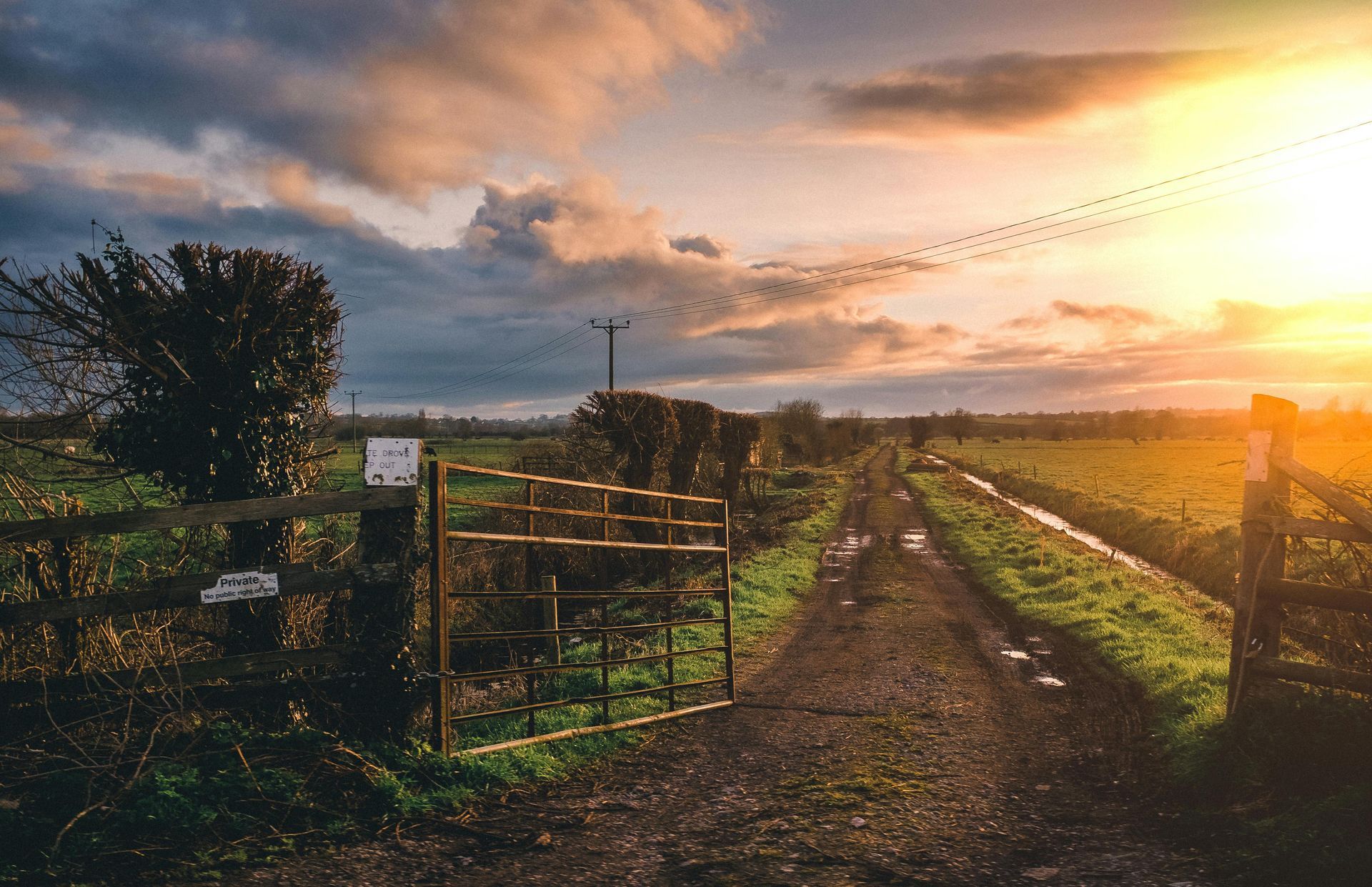 Open metal gate leading to a muddy path through fields at sunset; flock of birds flies across the sky.