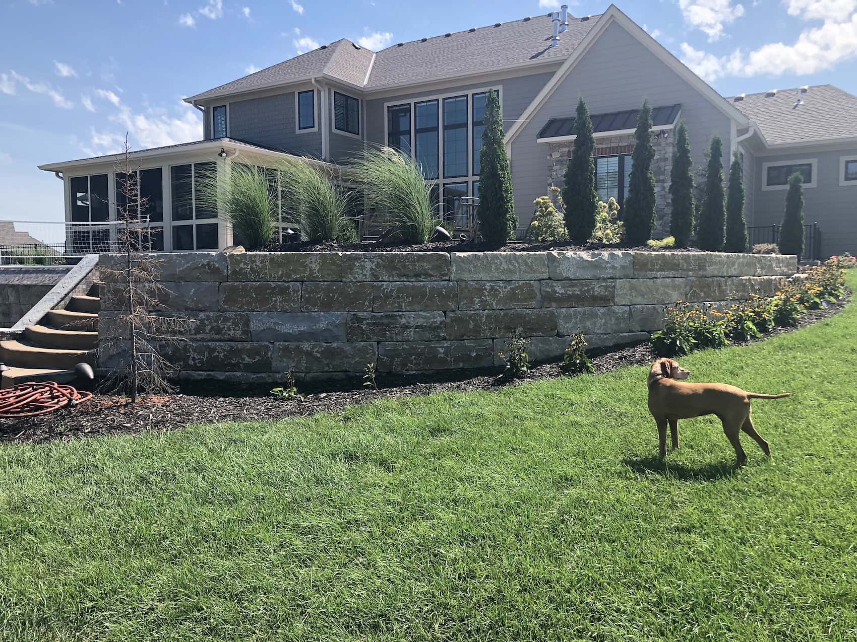 newly built retaining wall in front of house with dog in the green grass