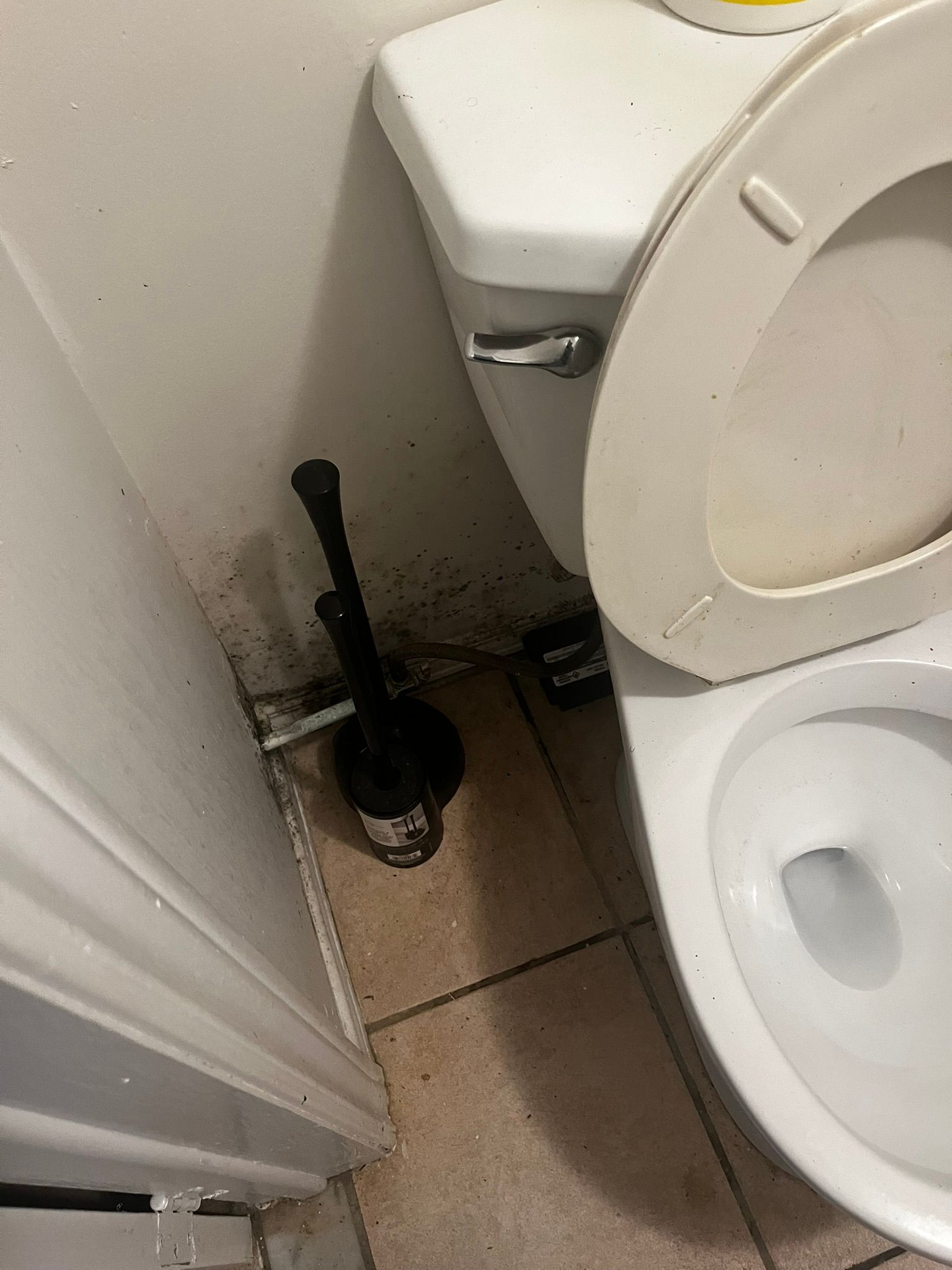 A toilet with a brush on the floor next to it.