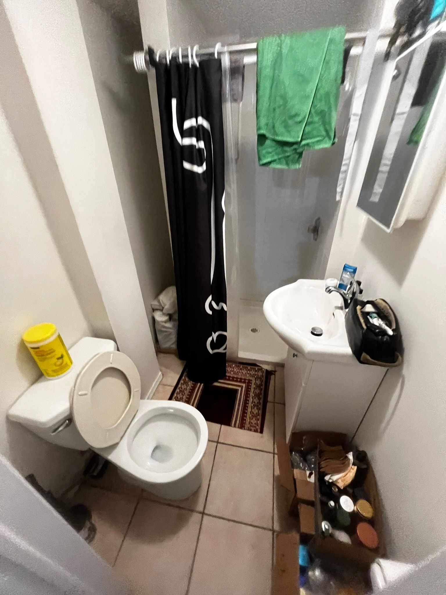 A bathroom with a toilet , sink and shower curtain