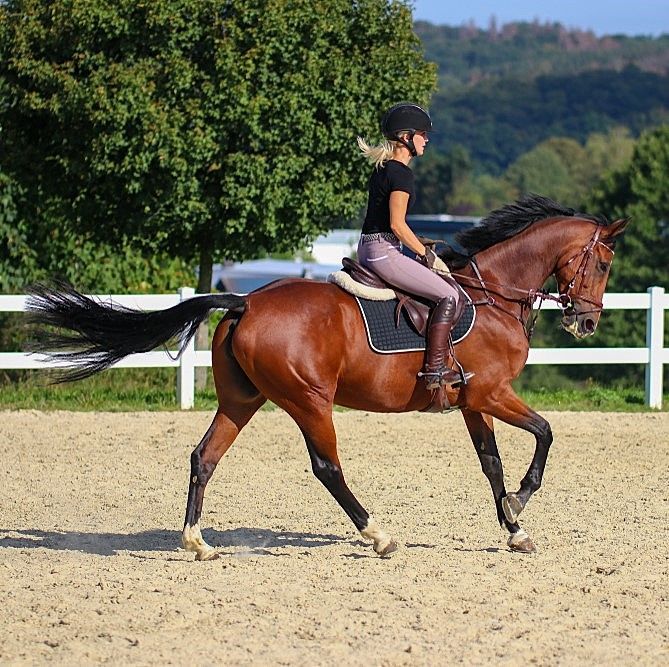 A Woman Is Riding A Brown Horse In A Dirt Arena — Australian Sandstone Products In Helidon, QLD