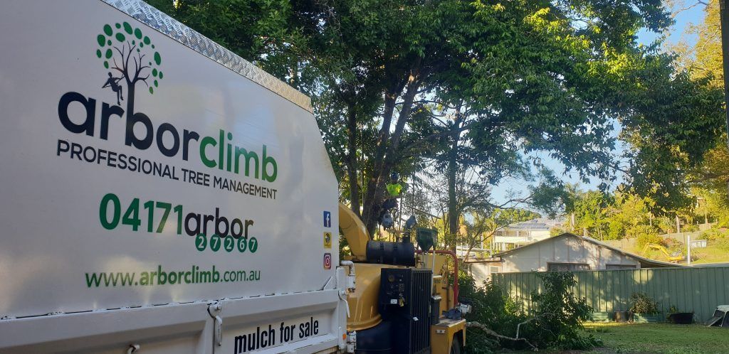 Wood Chipper Blowing Tree Branches Cut — Arborist in Little Mountain, QLD