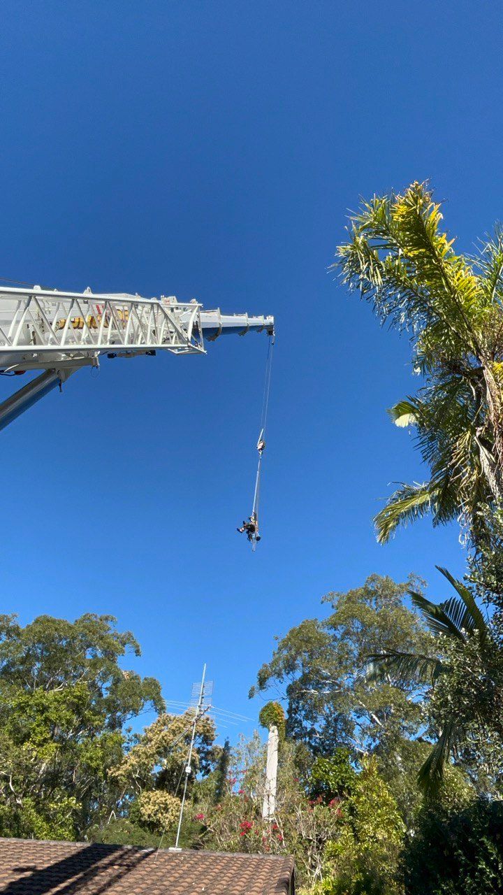 arborist hanging on to crane