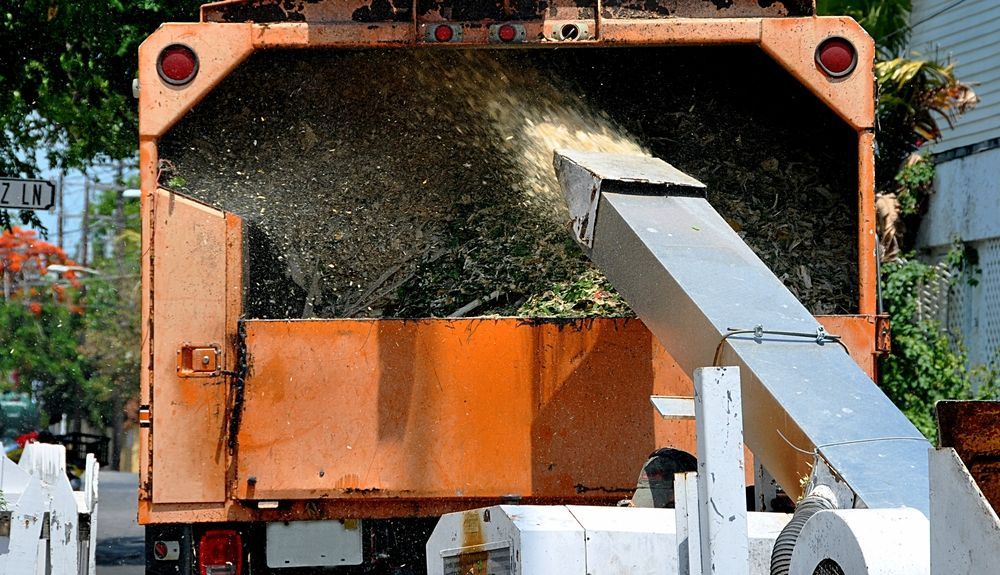 Wood Chipper Machine Filling Back of Truck With Mulch — Arborist in Little Mountain, QLD