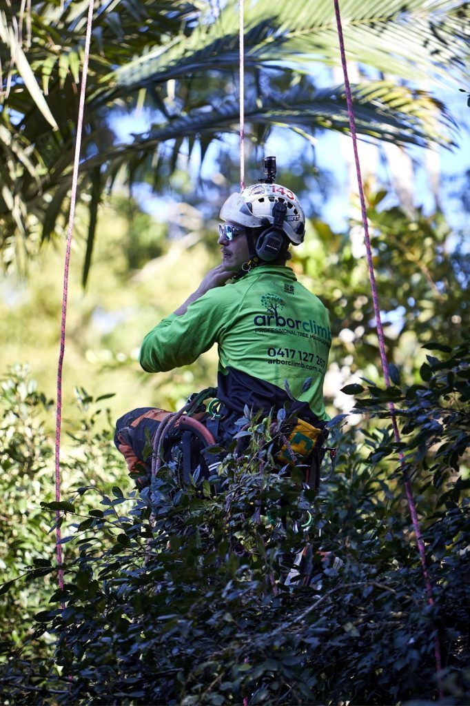 Arborist Man ready to work — Arborist in Little Mountain, QLD