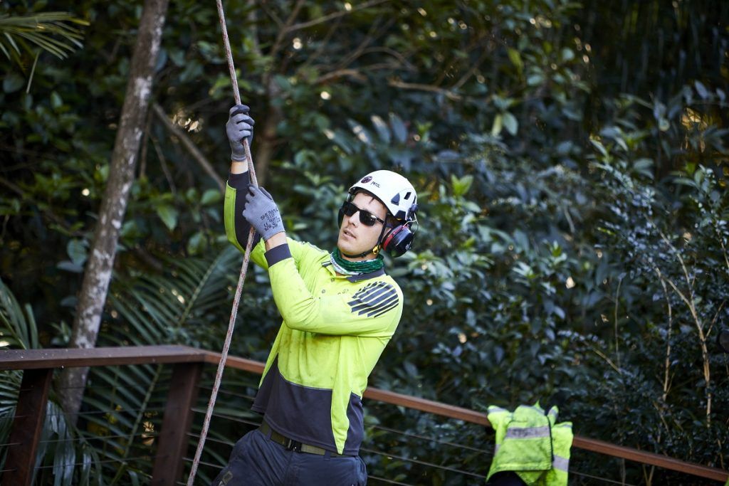 Arborist holding guide ropes — Arborist in Buderim, QLD
