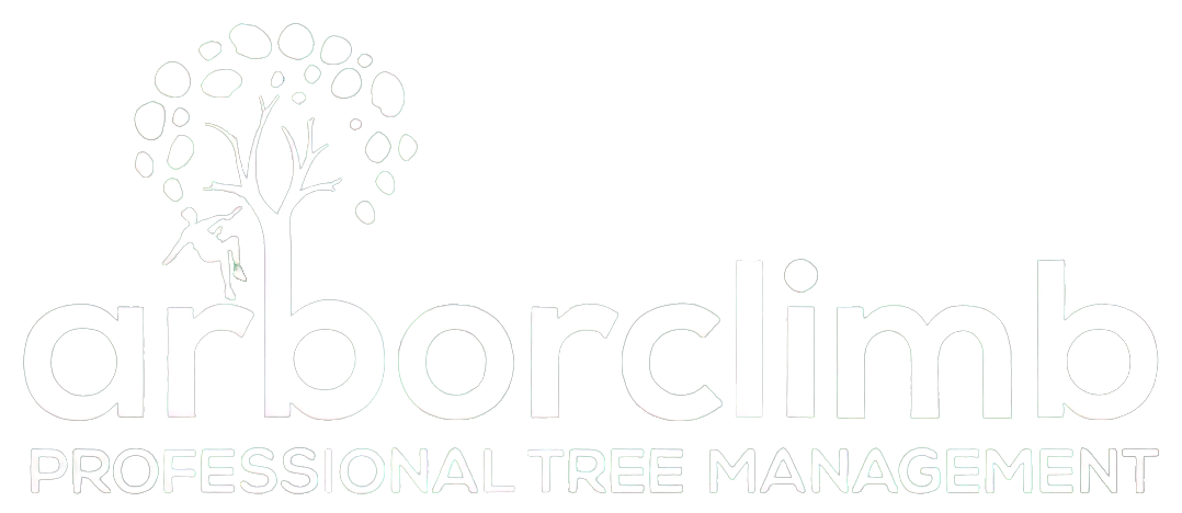 Arborclimb Tree Removal Sunshine Coast—Your Go-To Arborist on the Sunshine Coast