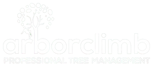 Arborclimb Tree Removal Sunshine Coast—Your Go-To Arborist on the Sunshine Coast