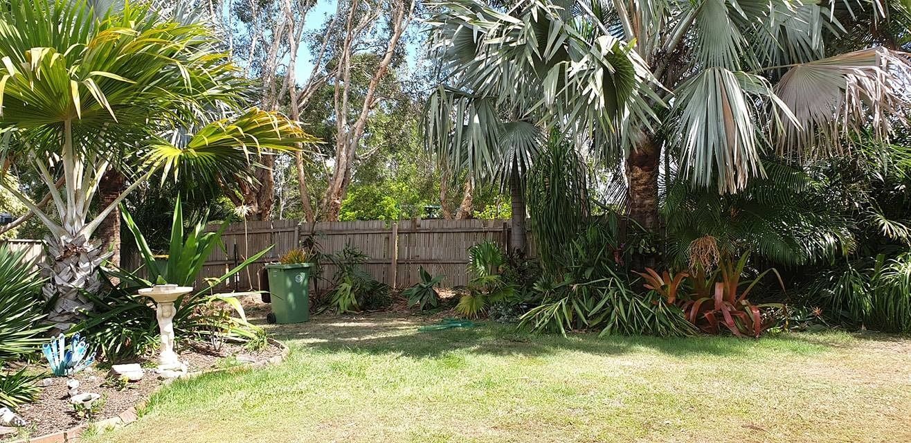 Large Palm Trees Growing Close to a Fence