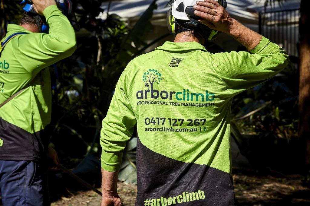 Man Cuts a Fallen Tree — Arborist in Tewantin, QLD