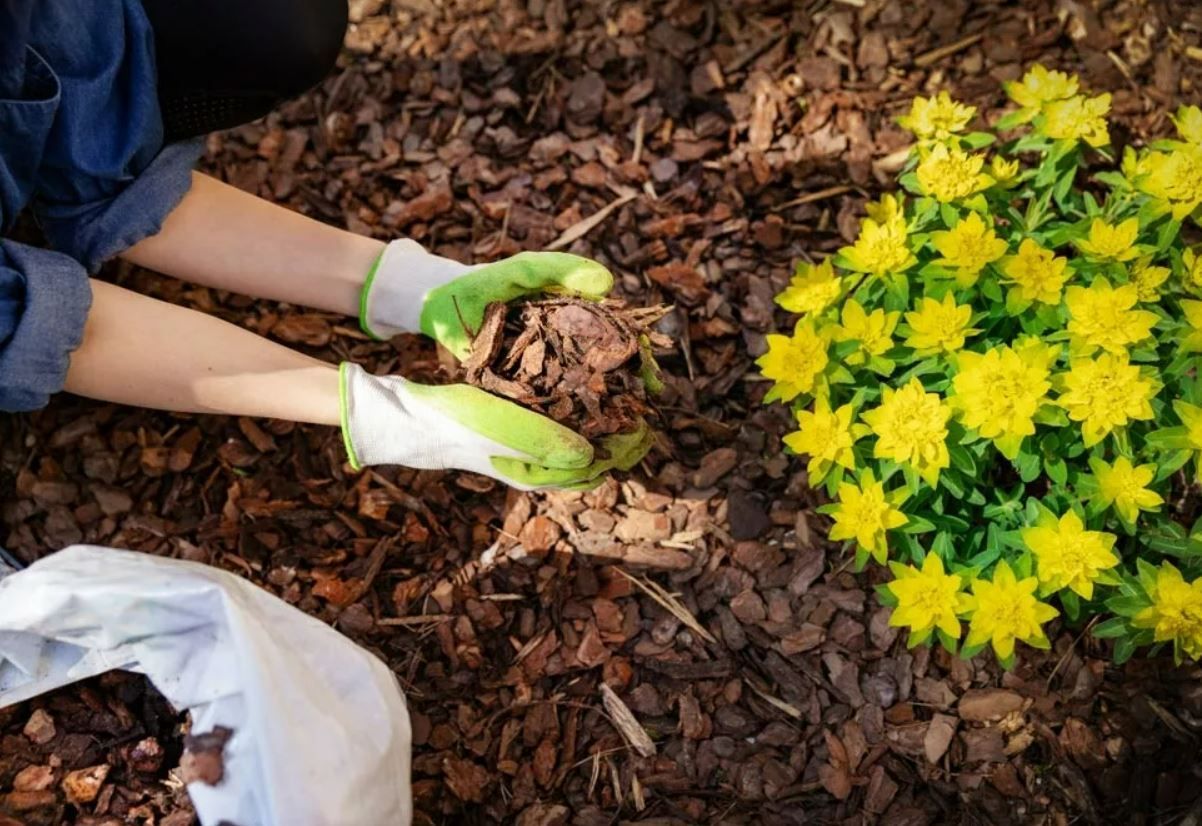 Why You Should Mulch Your Garden This Spring