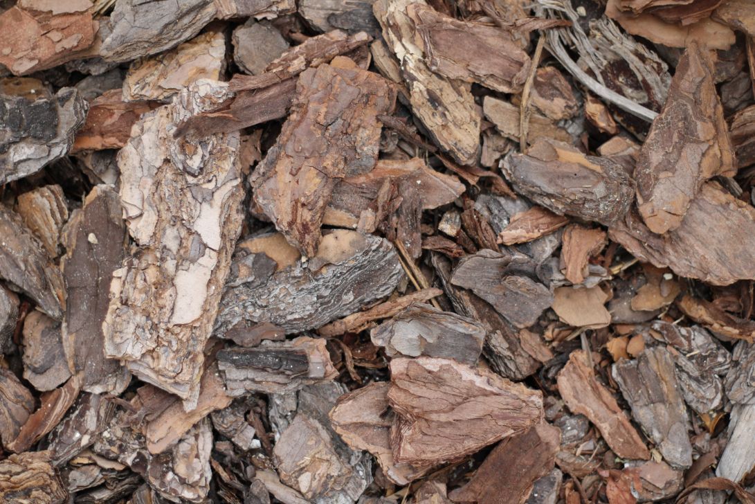 A Pile of Brown Mulching — Arborist in Chermside, QLD