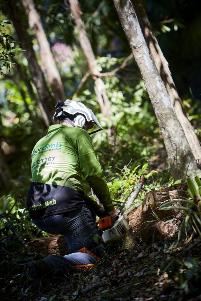 Man Uses His Chainsaw to Cut up the fallen tree  — Arborist in Bli Bli, QLD