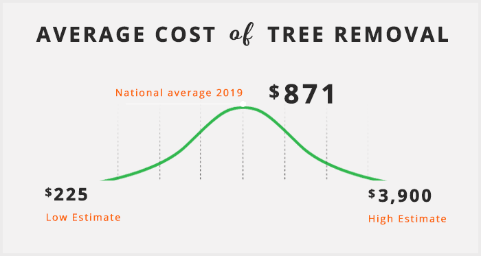 tree removal cost