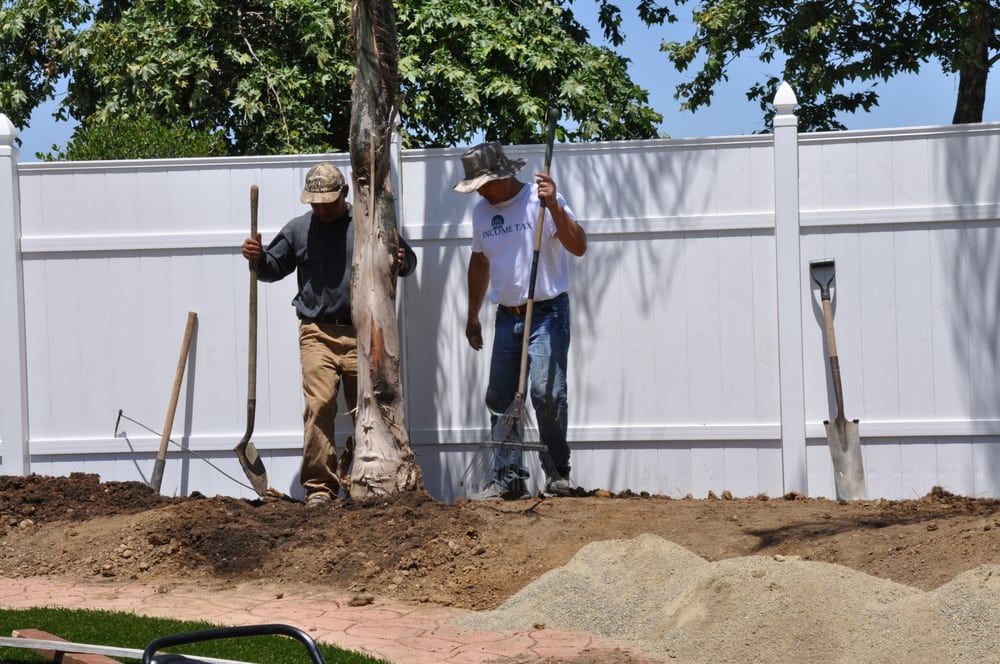 Tree Care Oakland, CA Kozuki Landscaping