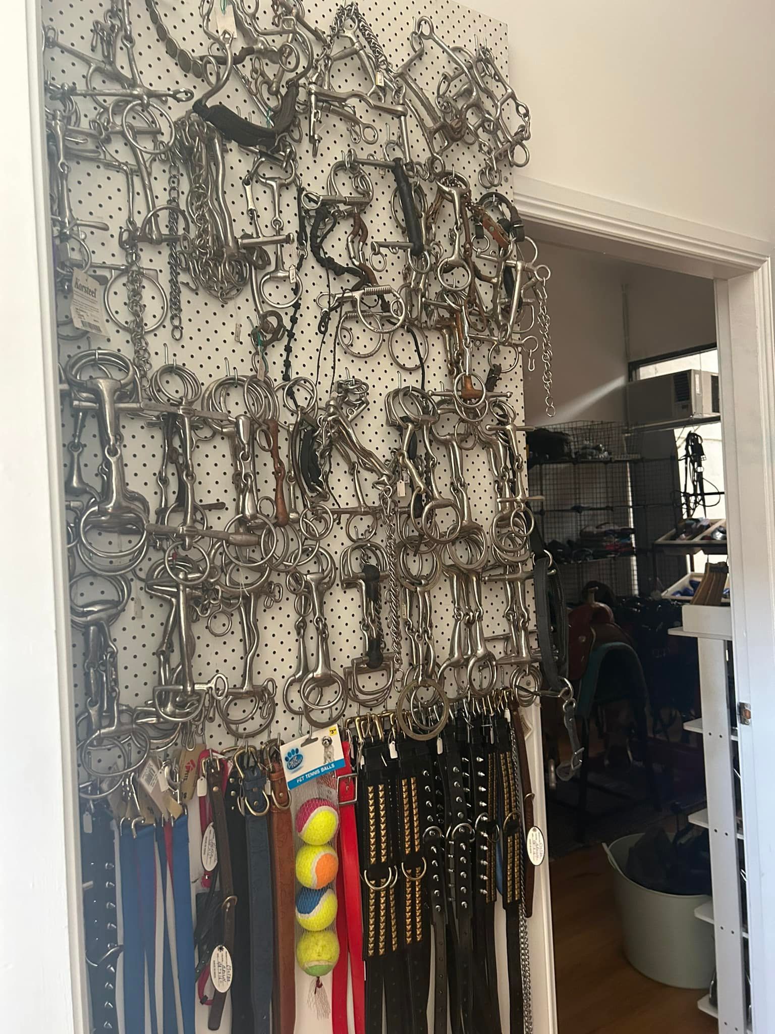 A bunch of belts are hanging on a wall in a room. — Paint Horse Saddlery In Taree, NSW