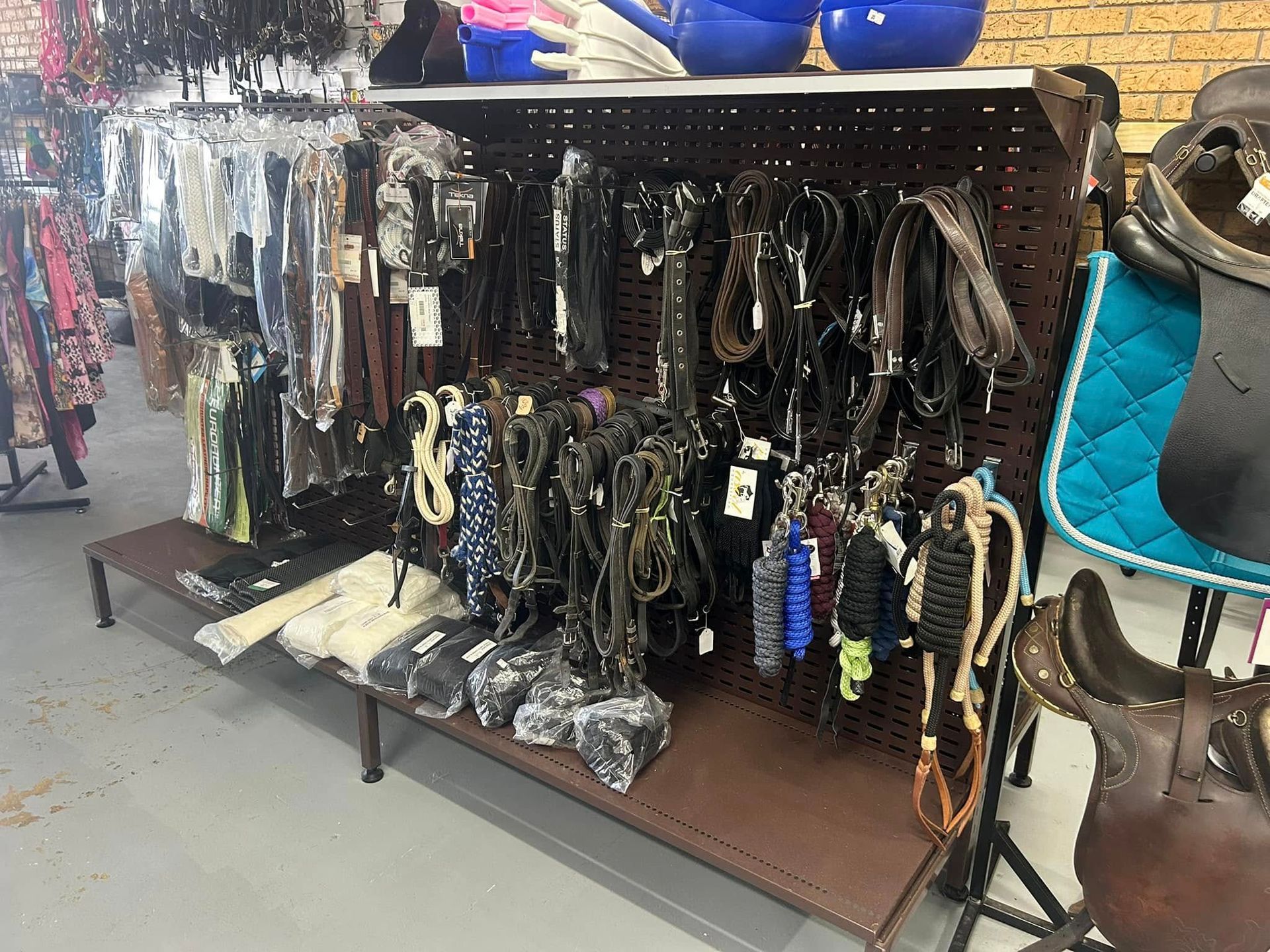 A display of bridles and saddle pads in a store. — Paint Horse Saddlery In Taree, NSW