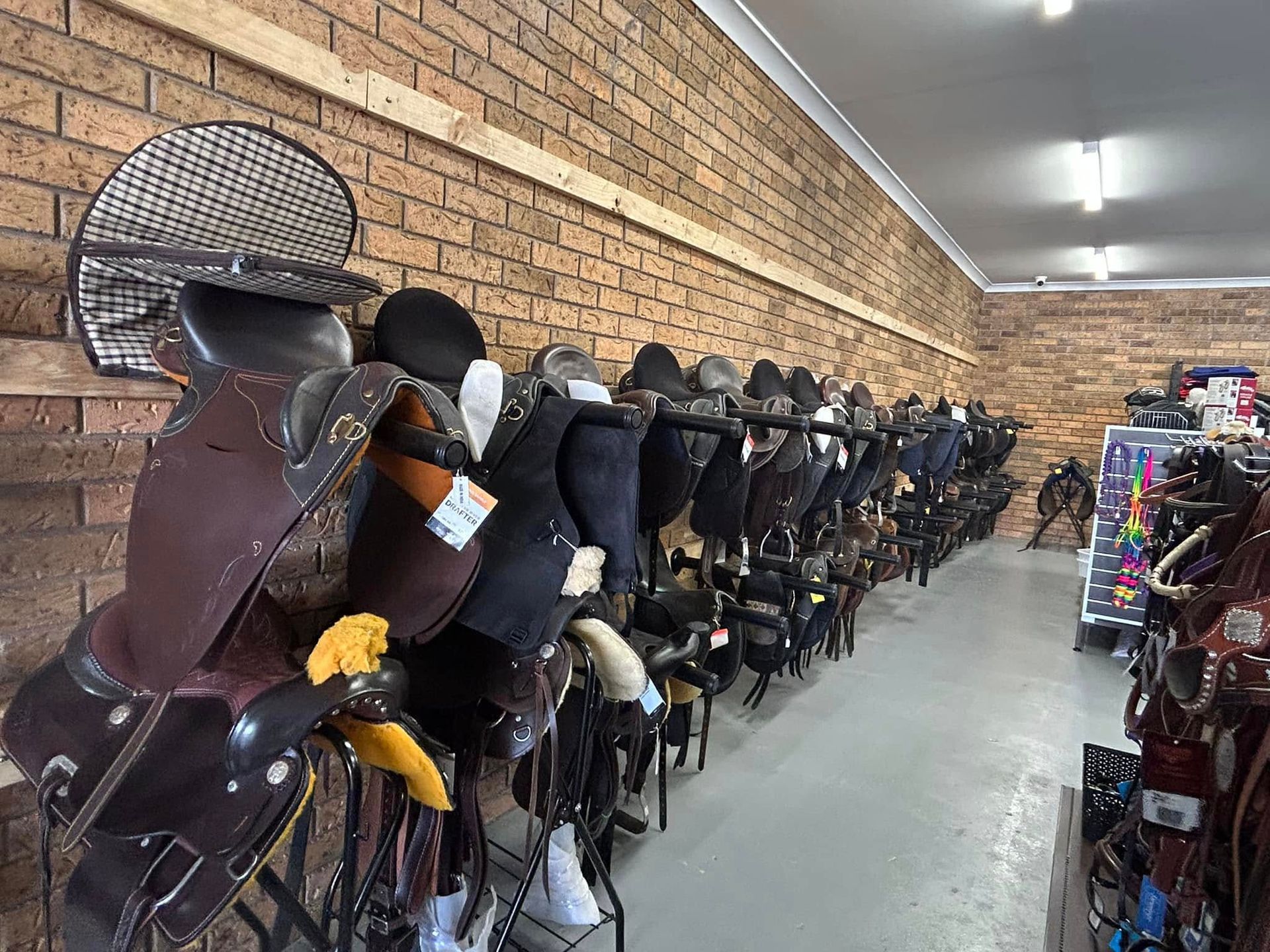 A warehouse filled with lots of saddles and bridles. — Paint Horse Saddlery In Taree, NSW
