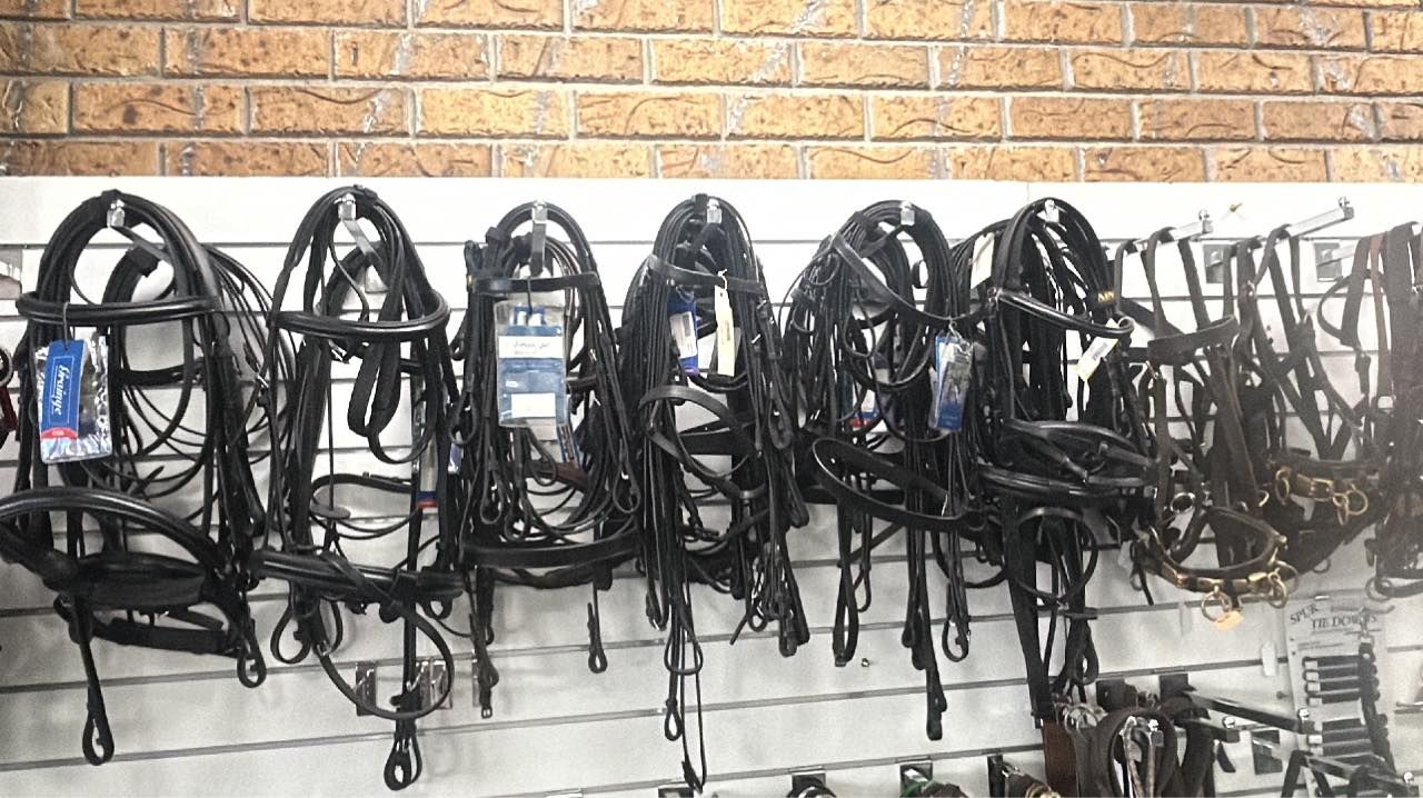 A bunch of horse bridles are hanging on a wall. — Paint Horse Saddlery In Taree, NSW