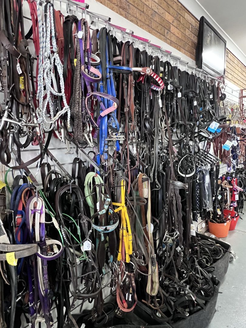 A bunch of brown leather bridles are hanging on a wall in a store. — Paint Horse Saddlery In Taree, NSW