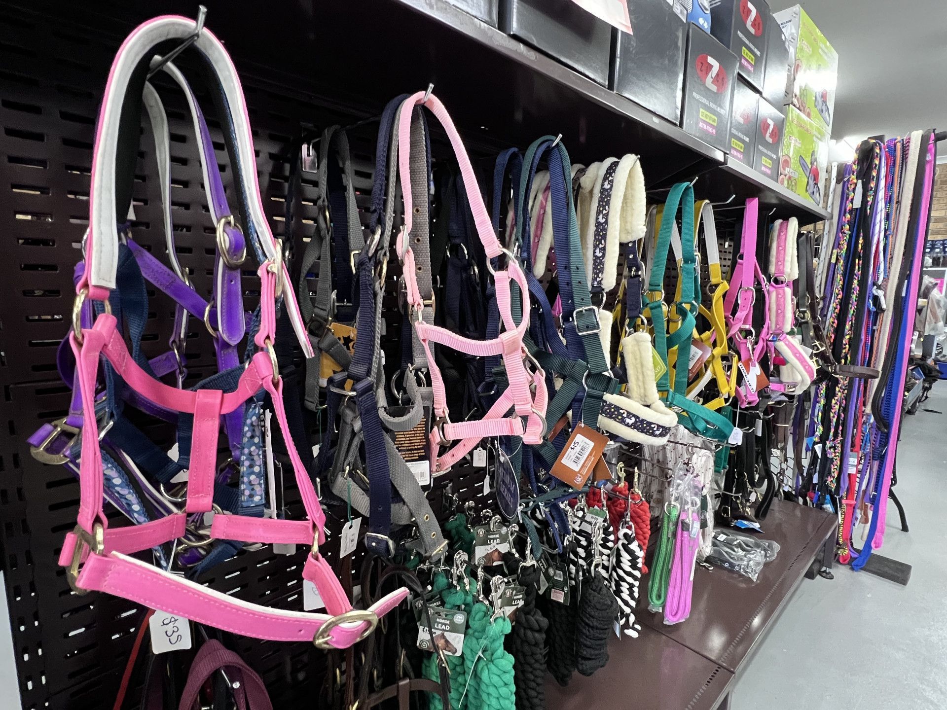 A bunch of horse bridles are hanging on a wall. — Paint Horse Saddlery In Taree, NSW
