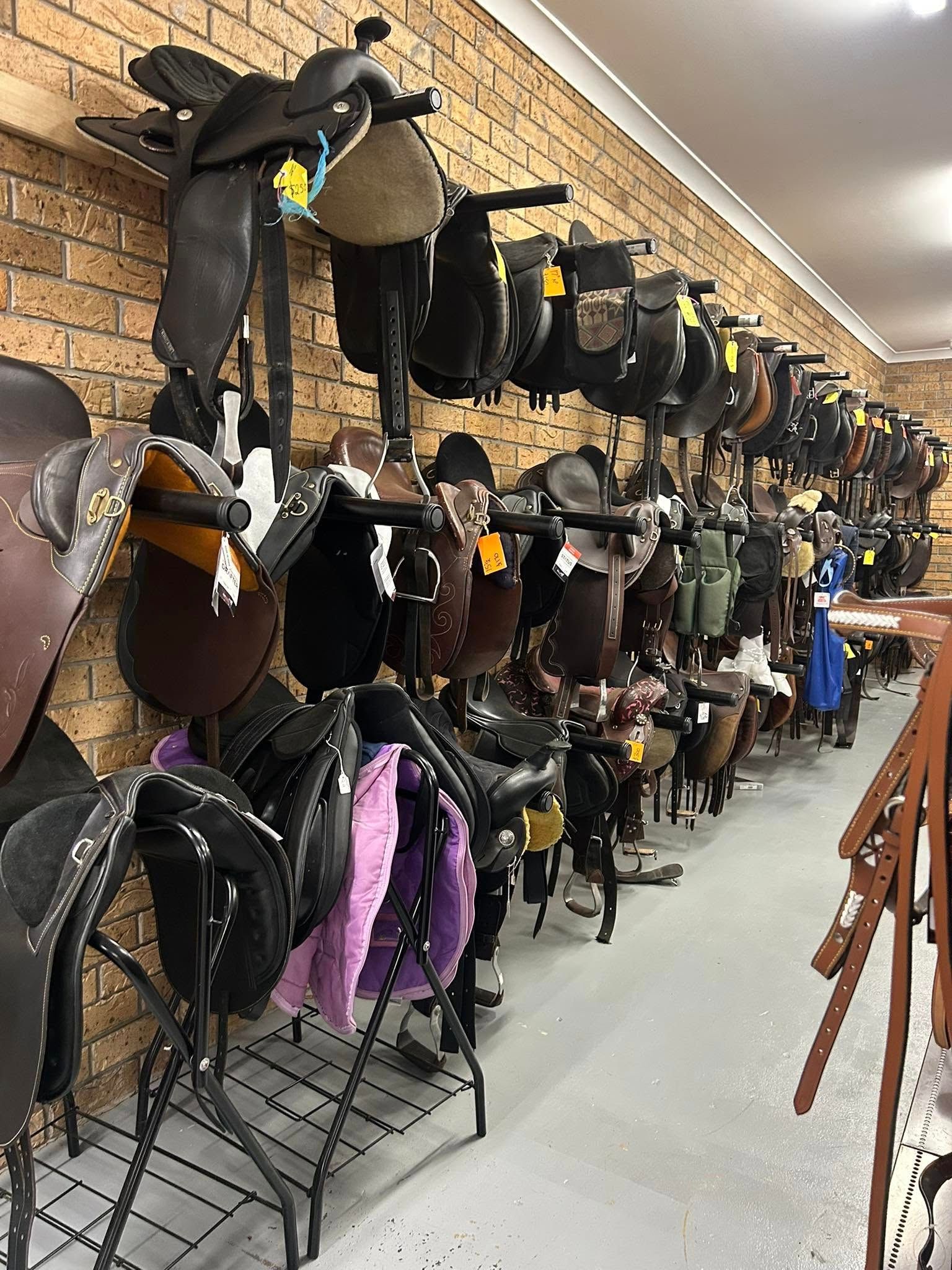 A row of saddles hanging on a wall in a store. — Paint Horse Saddlery In Taree, NSW