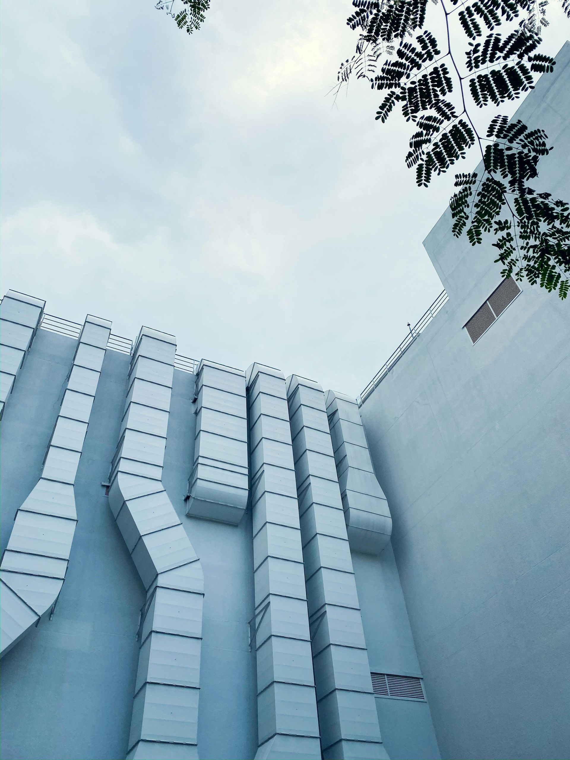 Modern building facade with geometric white panels seen from below against a blue sky and tree branches