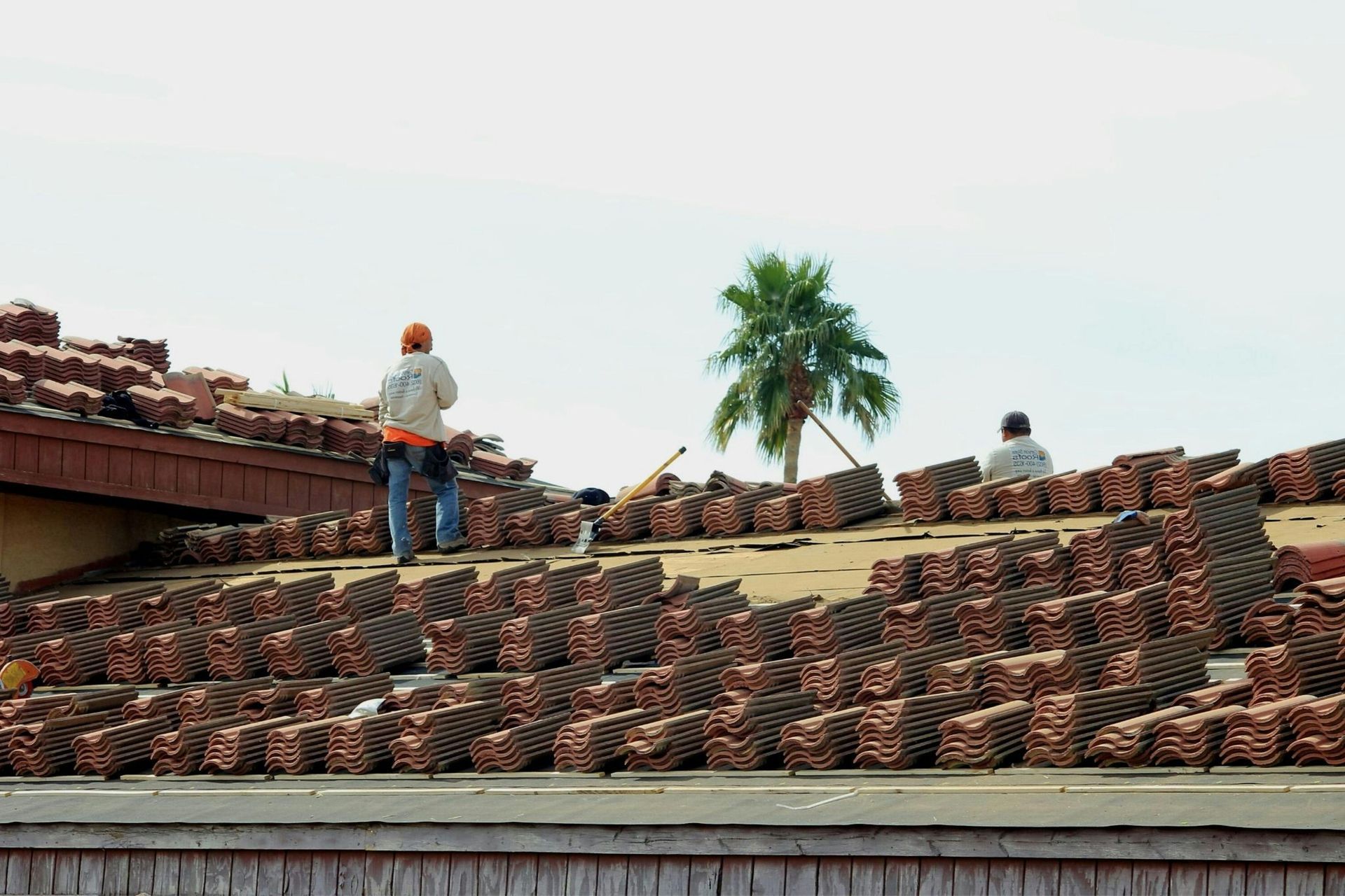 Workers on a brick rooftop with stacked tiles and a palm tree in the background