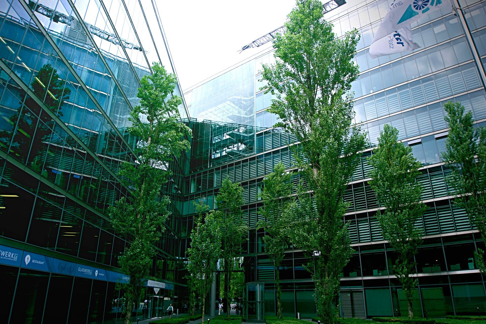 Modern glass office atrium with tall green trees and a curved steel-and-glass facade