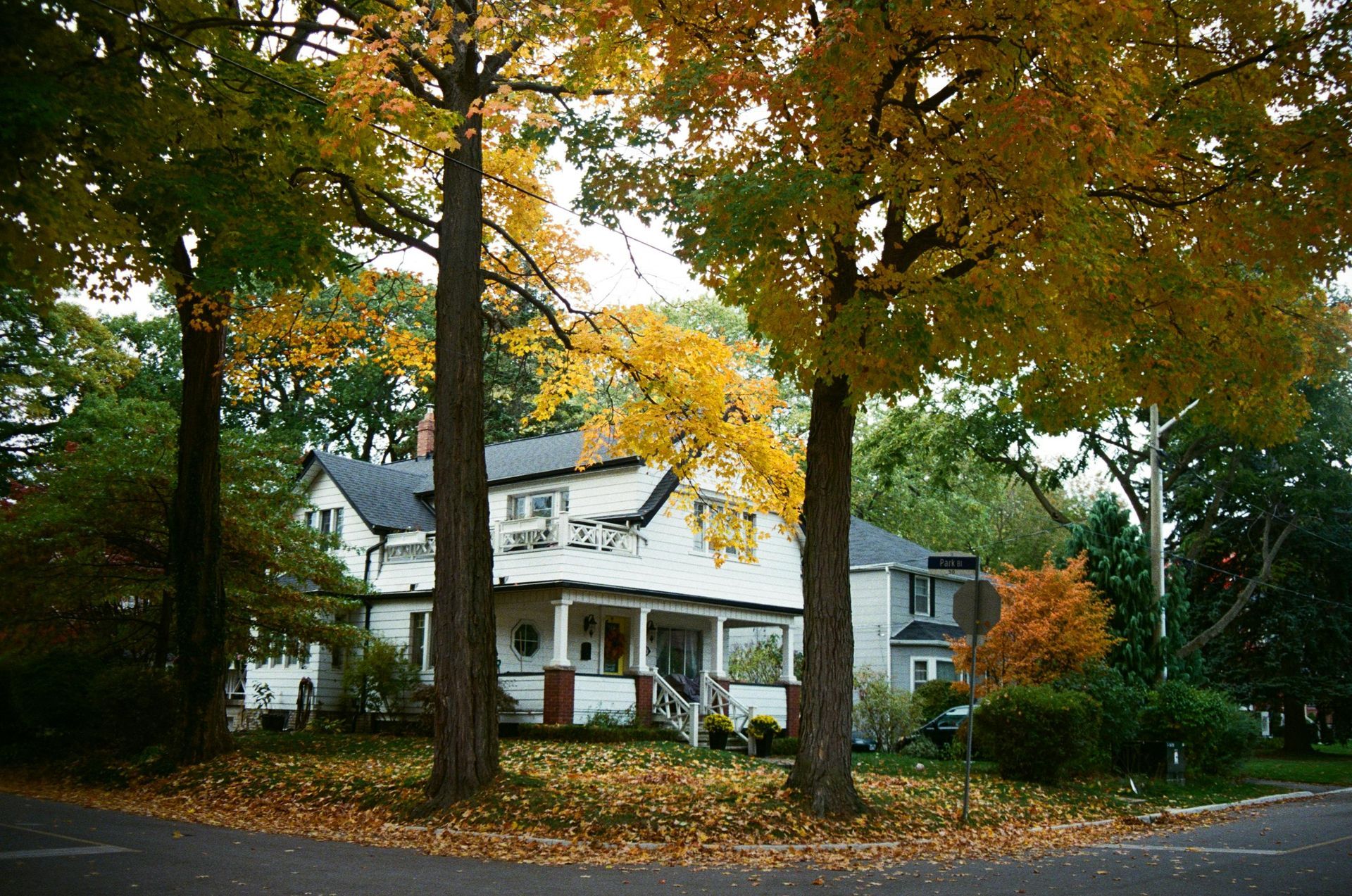 A white, two-story house with a front porch sits behind large trees with yellow autumn leaves in a residential neighborhood.