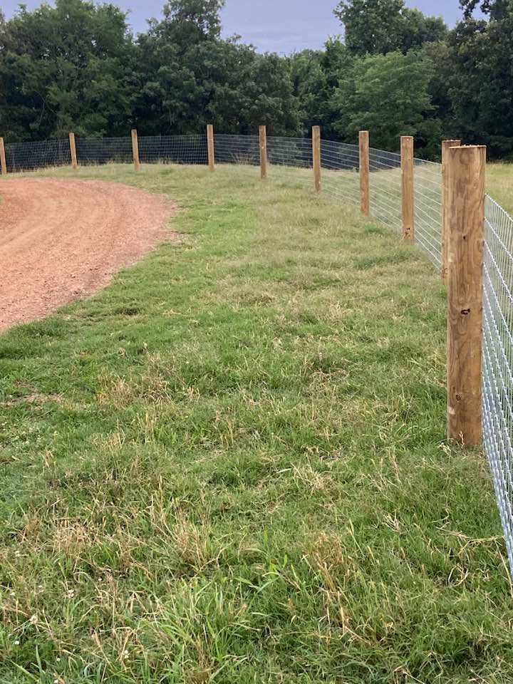 Wooden fence posts with wire mesh in a grassy field next to a dirt path.