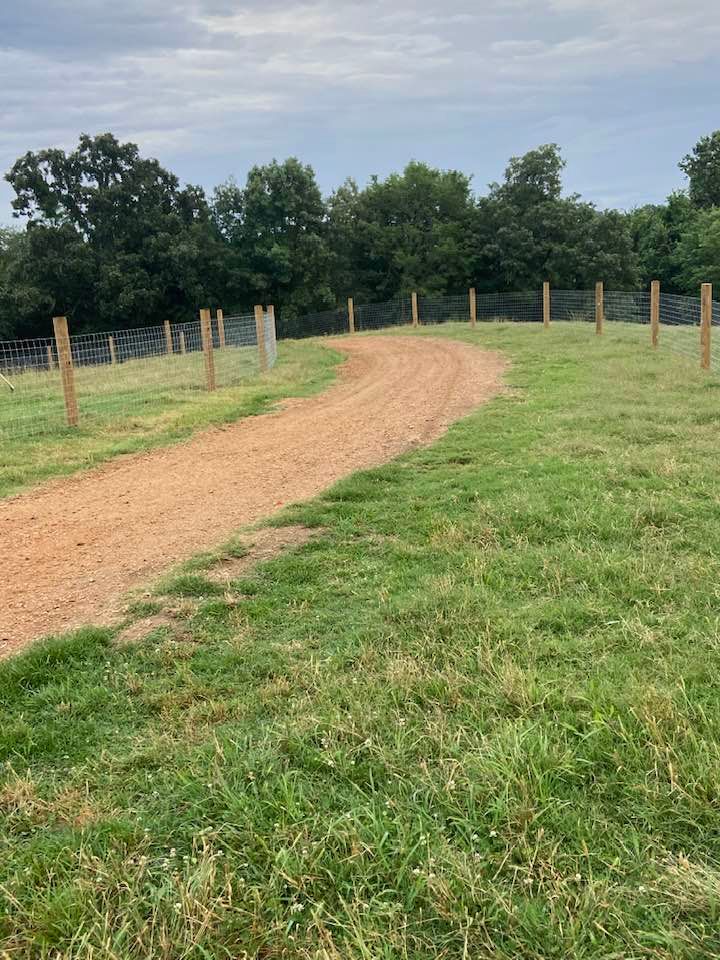 Dirt road curving through a grassy field, bordered by a fence with wooden posts.