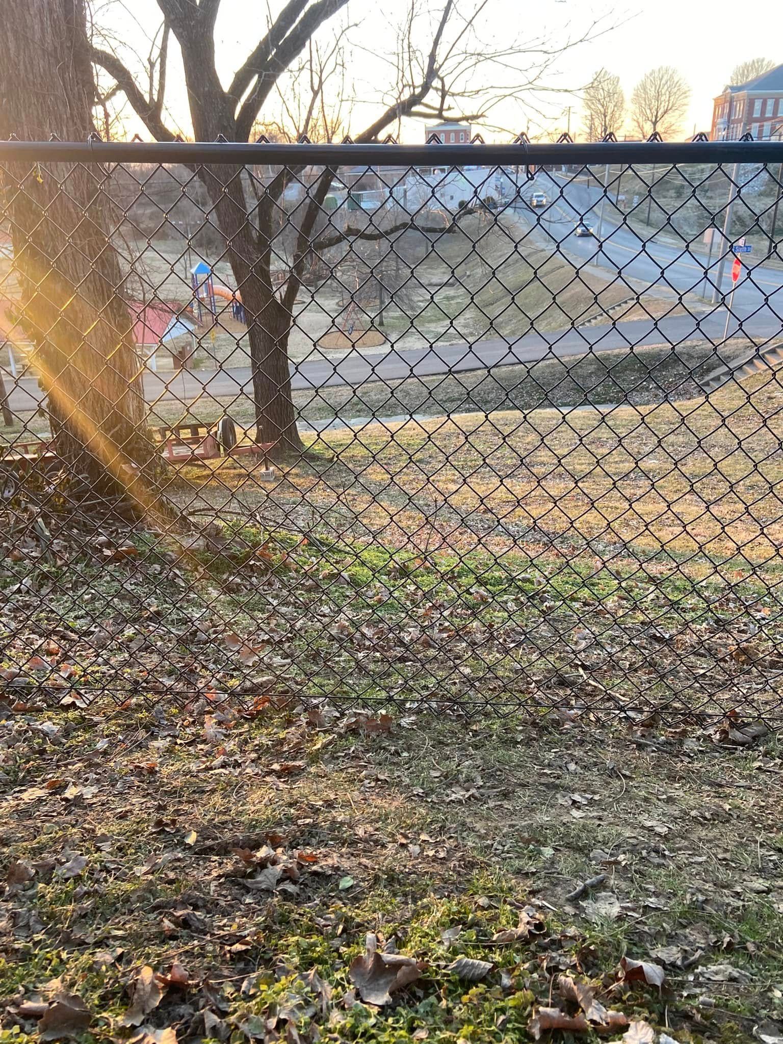 Chain-link fence in front of a yard with a tree and fallen leaves. Golden sunlight streams through.