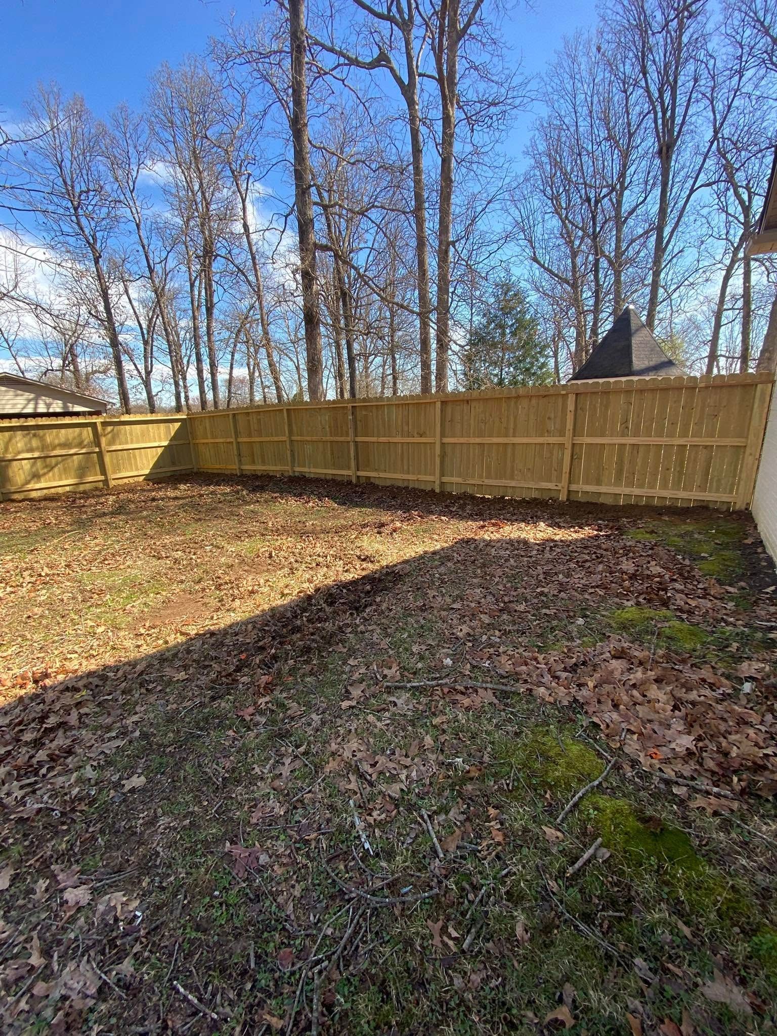 Backyard with a wooden fence surrounding dry grass and fallen leaves. Trees in the background. Bright blue sky.