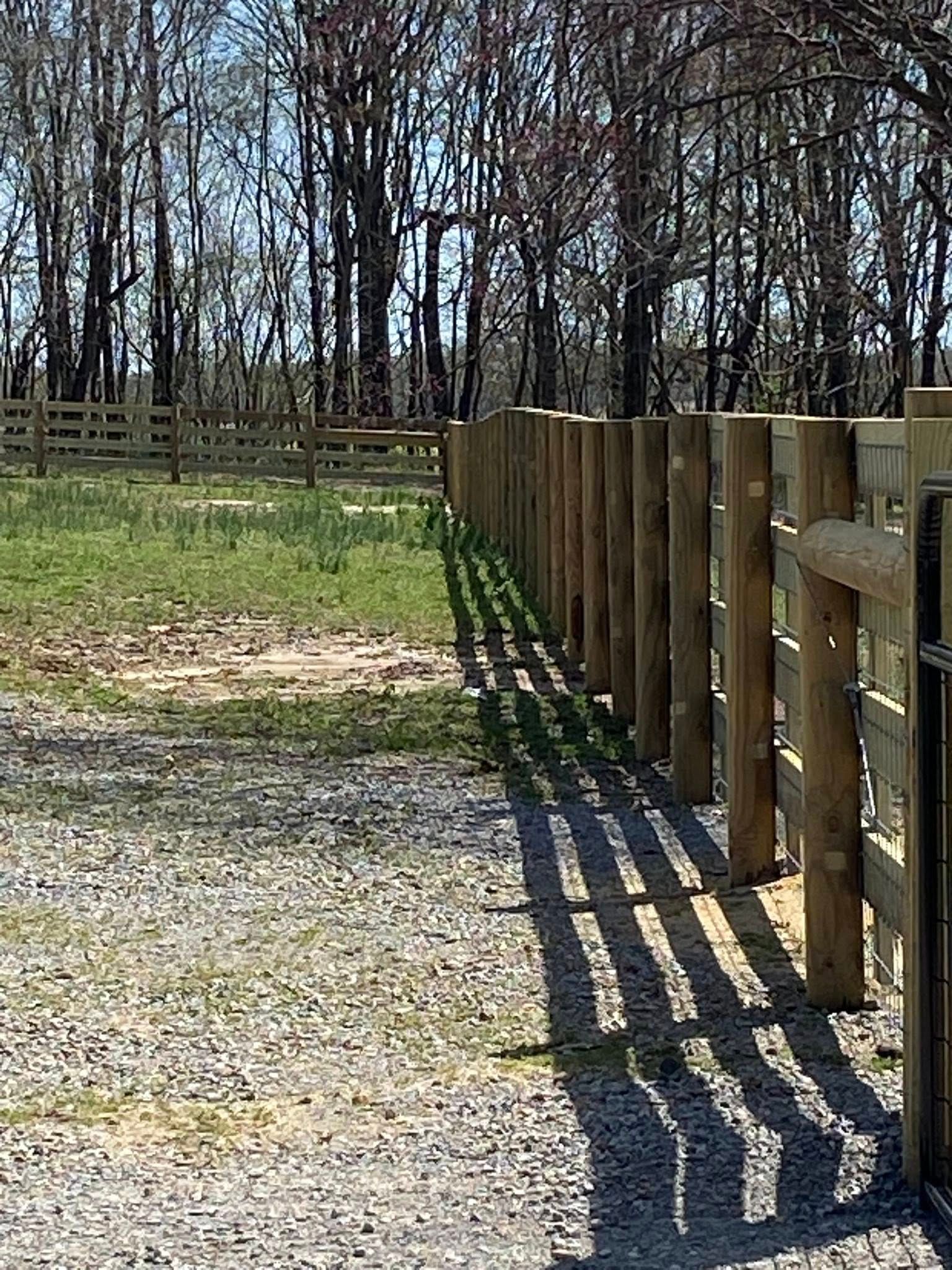 Wooden fence casting long shadows in a grassy field, trees in the background.